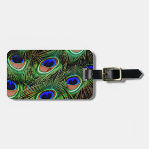Peacock Feathers Luggage Tag