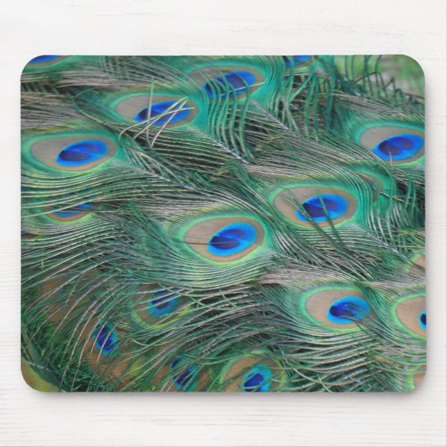 Peacock Feathers Mouse Pad (Front)