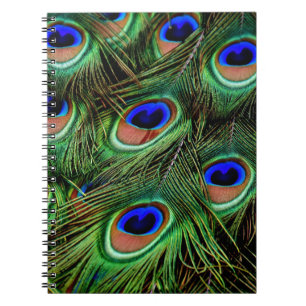 Peacock Feathers Notebook