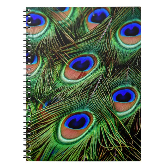 Peacock Feathers Notebook (Front)
