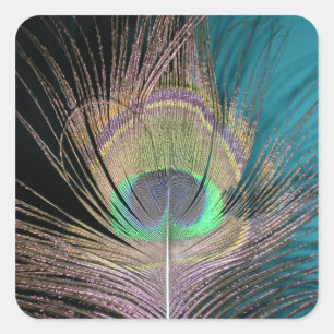 Peacock Feathers on black and turquoise Square Sticker