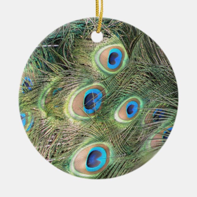 Peacock feathers ornament (Front)