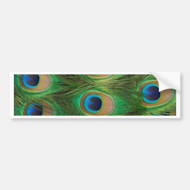 Peacock Feathers - Peafowl Bumper Sticker (Front)