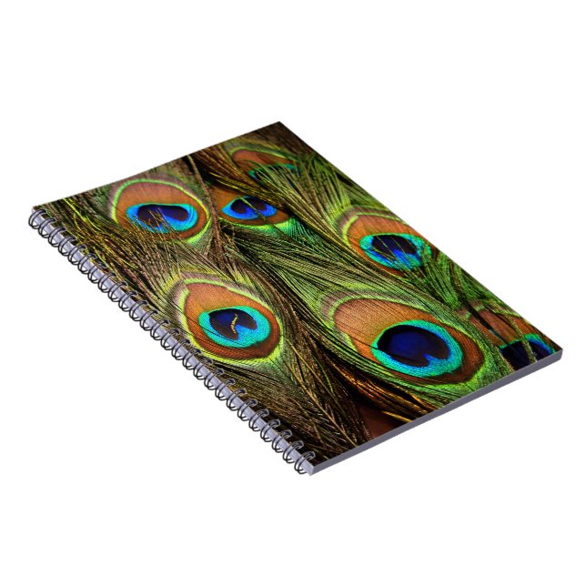 Peacock Feathers Photo Notebook (Right Side)