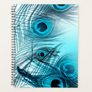 Peacock Feathers Planner