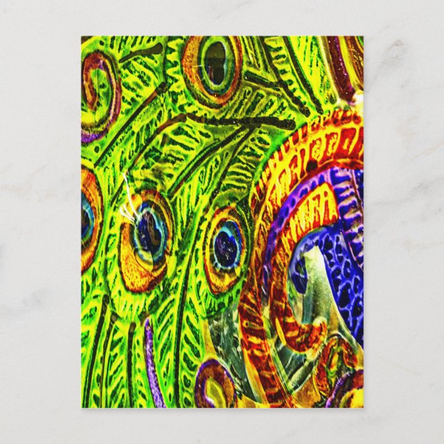 Peacock Feathers Postcard (Front)