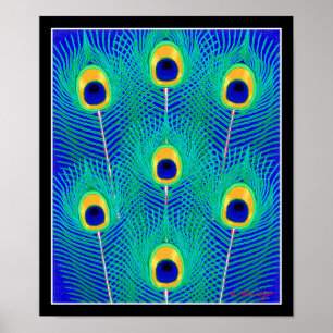 Peacock Feathers Poster Print