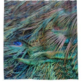 Peacock Feathers Rainbow Colours Shower Curtain