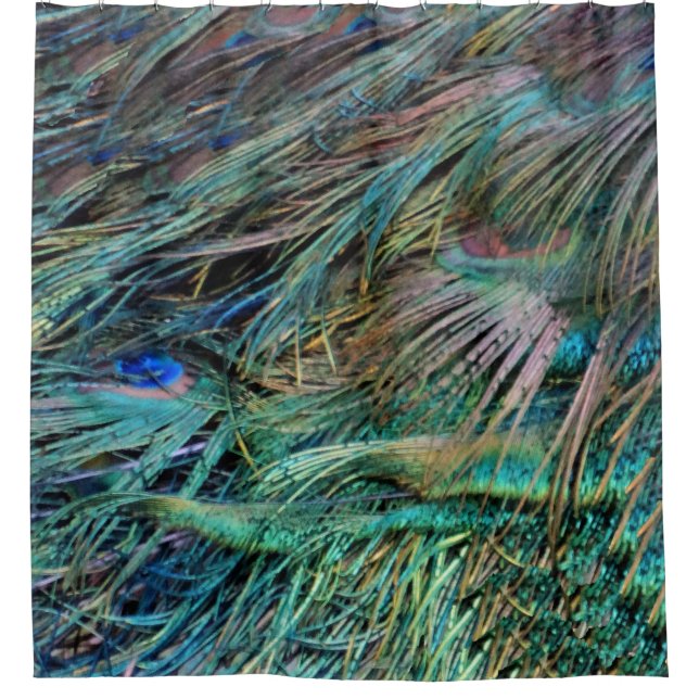 Peacock Feathers Rainbow Colours Shower Curtain (Front)