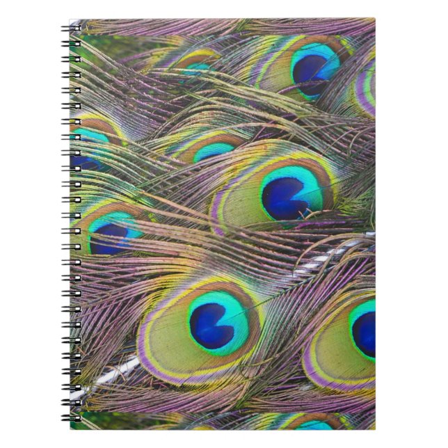 Peacock Feathers Spiral Notebook (Front)