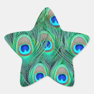Peacock Feathers Star Sticker