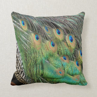 Peacock Feathers Tan Green And blue Colours Cushion