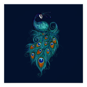 Peacock Feathers Teal Peacocks   Poster