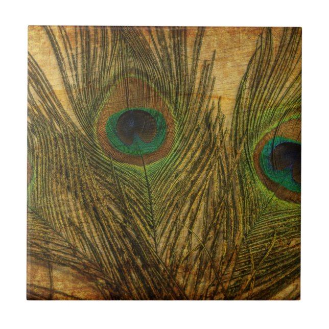 Peacock Feathers Tile (Front)