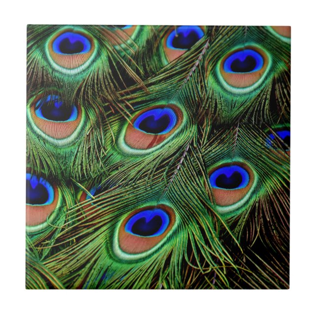 Peacock Feathers Tile (Front)