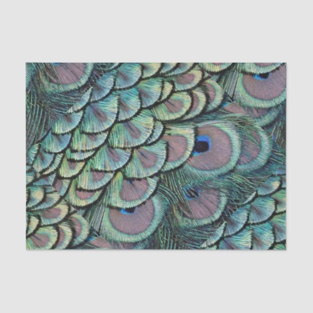 peacock feathers tissue paper (Front)