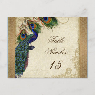 Peacock & Feathers Vintage Gold Look Damask  Swirl Postcard
