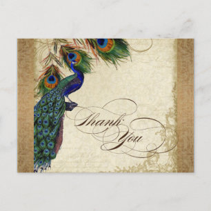 Peacock & Feathers Vintage Gold Look Damask  Swirl Postcard