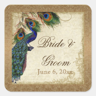 Peacock & Feathers Vintage Gold Look Damask  Swirl Square Sticker