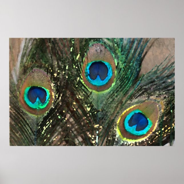 Peacock Feathers with Rocks Poster (Front)