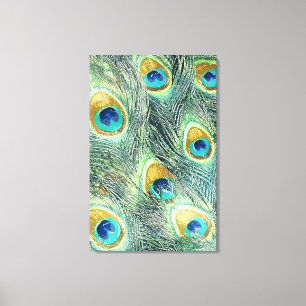 PEACOCK FEATHERS Wrapped Canvas Print