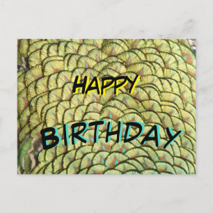 Peacock Feathers Yellow Pattern Birthday Postcard