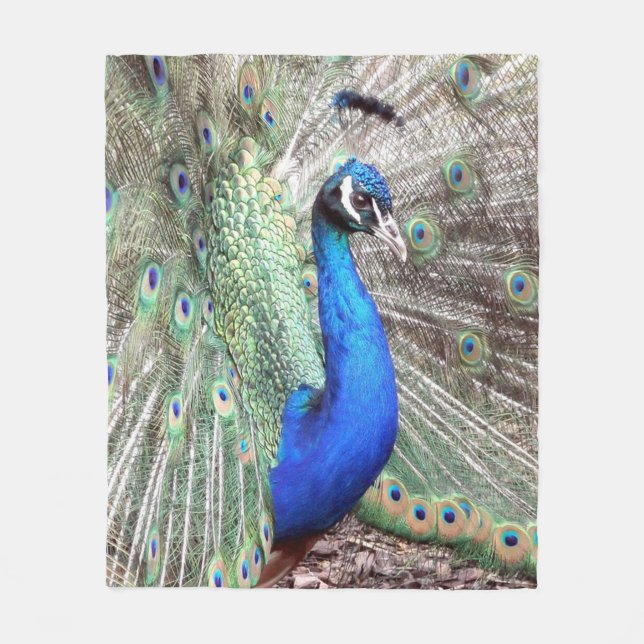 Peacock Fleece Blanket (Front)