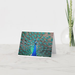 Peacock folded note card