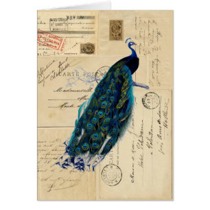 Peacock French Postcards Card