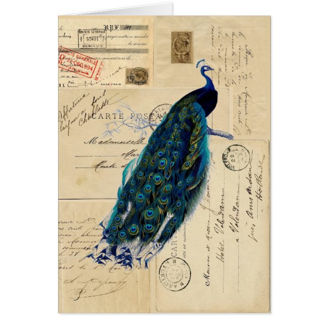 Peacock French Postcards Card (Front)