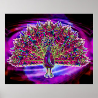 Peacock Glass 2A & 2B Options Poster