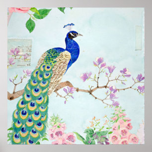 Peacock Graphic   Blue And Yellow Peacocks Poster