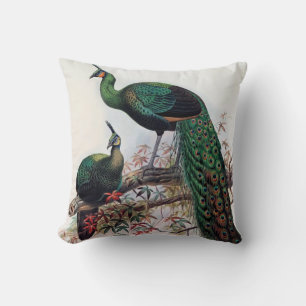 Peacock,green peafowl pavo muticus 1872 ... cushion