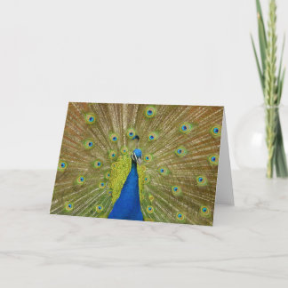 Peacock Greeting Card
