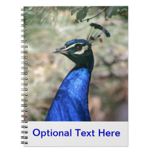 Peacock Head Closeup Spiral Notebook