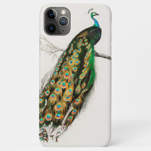 Peacock Illustration Vintage Art Print Case-Mate iPhone Case