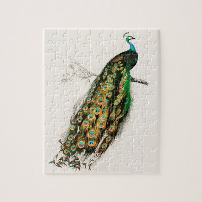 Peacock Illustration Vintage Art Print Jigsaw Puzzle (Vertical)