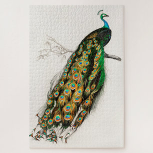 Peacock Illustration Vintage Art Print Jigsaw Puzzle