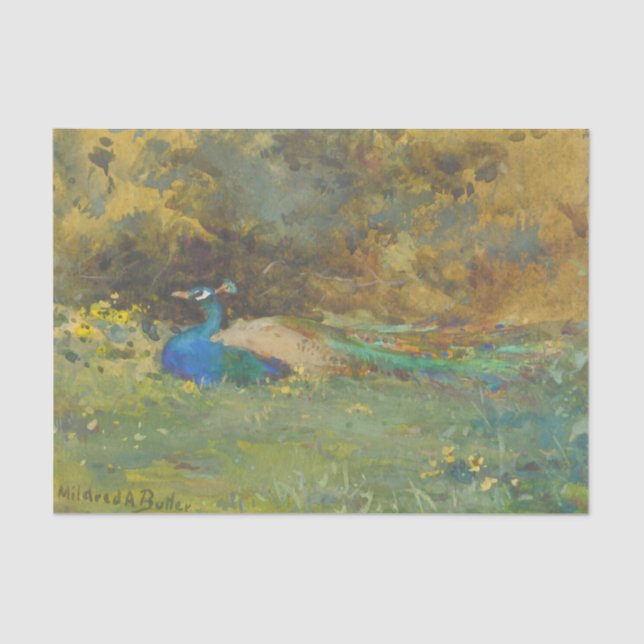 Peacock in a Garden by Mildred Anne Butler Tissue Paper (Front)