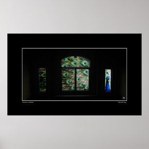 Peacock in a Window Poster