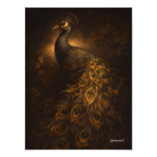 Peacock in Baroque Light Photo Print