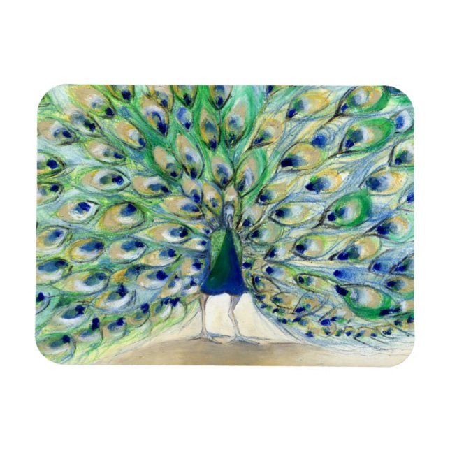 Peacock in San Diego 2 2013 Magnet (Horizontal)
