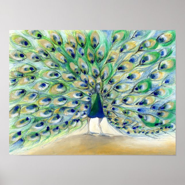 Peacock in San Diego 2 2013 Poster (Front)