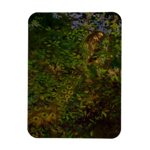 Peacock in the Woods Magnet