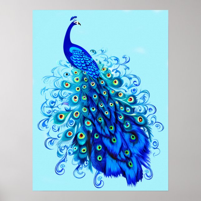 Peacock in Turquoise and Cobalt Blue  Poster (Front)