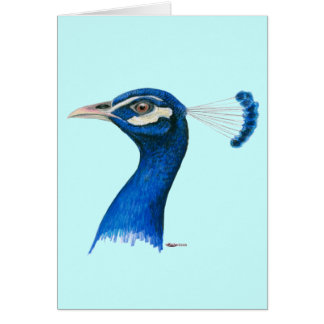 Peacock: Indian Blue