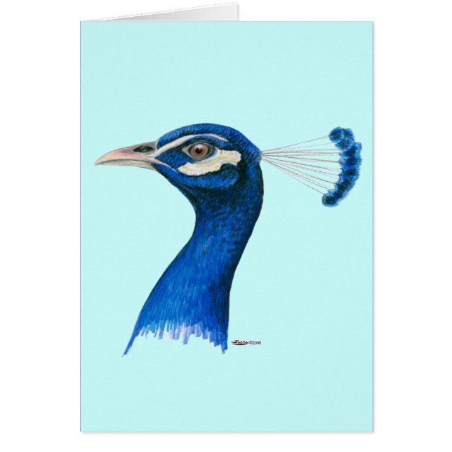 Peacock:  Indian Blue (Front)