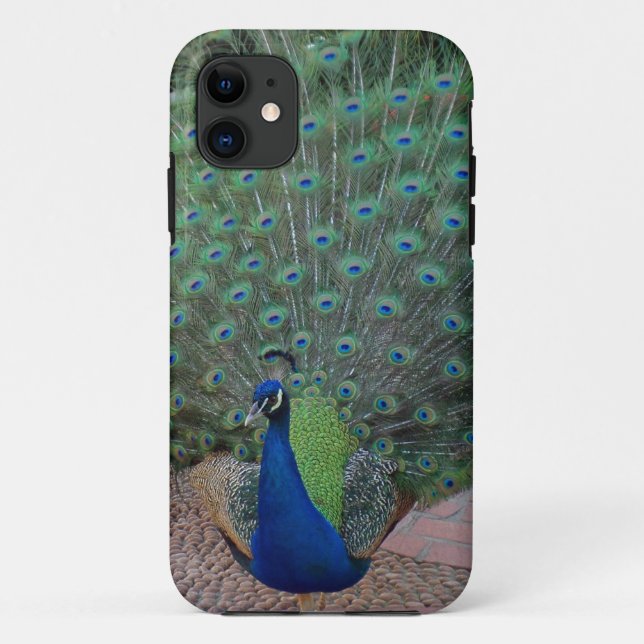 Peacock iPhone 5 Case (Back)