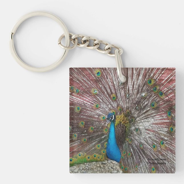 Peacock Key Ring (Front)