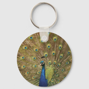 peacock key ring